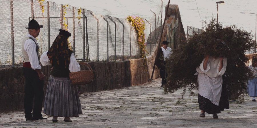 RTP2 exibe documentário sobre as carquejeiras, as escravas do Porto