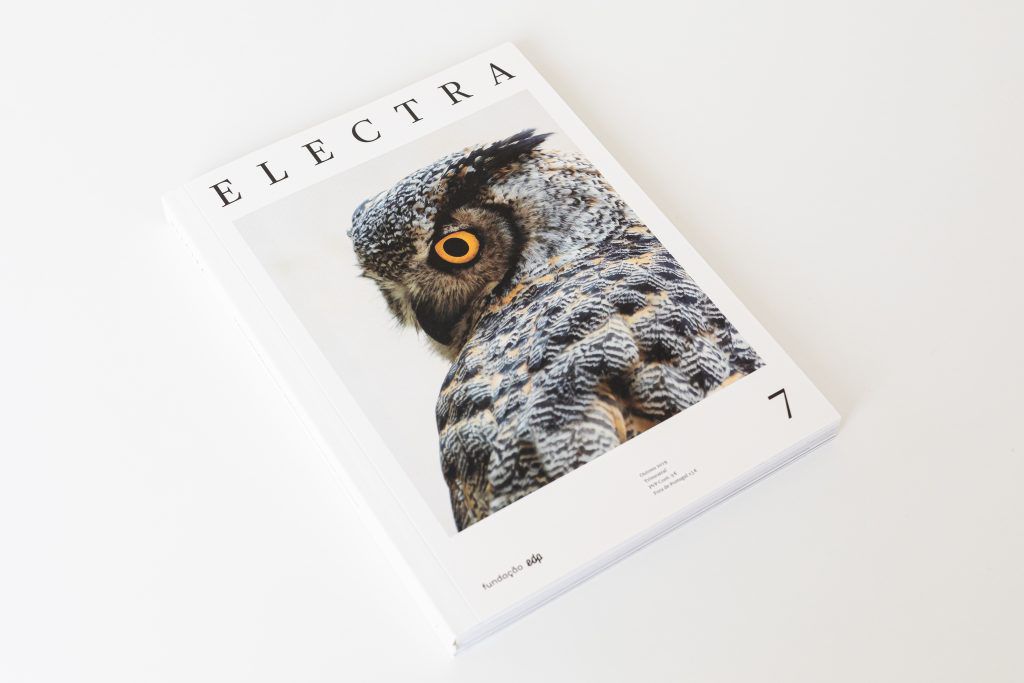 Os animais, Notre-Dame, Hisham Mayet, Marquesa Luisa Casati e Magali Reus no 7.º número da revista Electra
