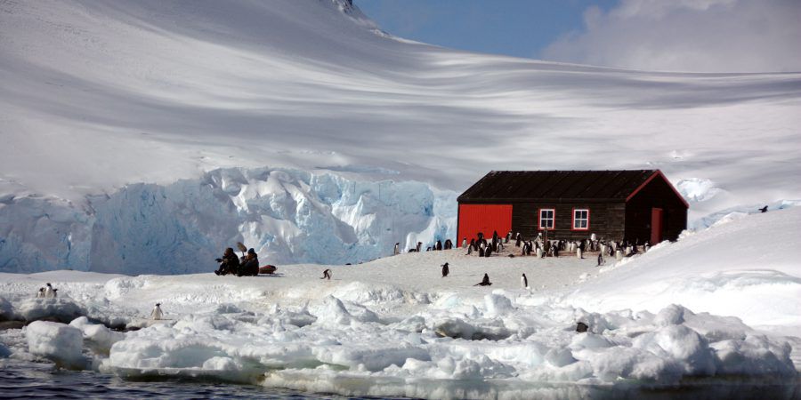 Vinte e sete cientistas reúnem-se em Coimbra para debater o efeito das alterações climáticas na vida da Antártida