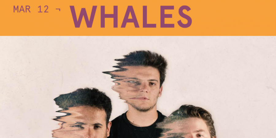 Whales vão estar nas Novas Quintas em Aveiro, no Teatro Aveirense
