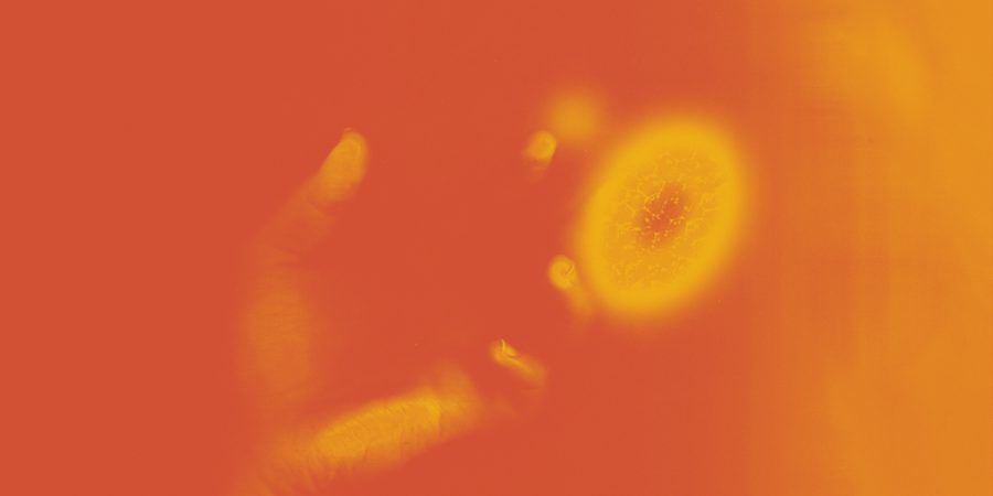 “Centelha”, álbum de estreia dos Bardino, produz belas faíscas sem nunca arder verdadeiramente