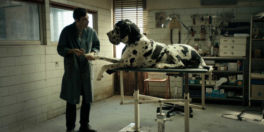 Em “Dogman”, de Matteo Garrone, é o homem que morde o cão