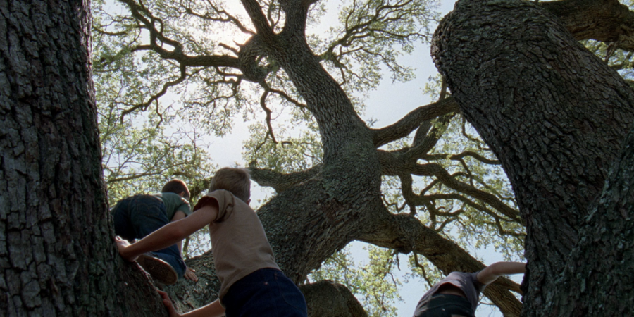 “The Tree Of life”: professor de arte explica, ao detalhe, filme de Terrence Malick
