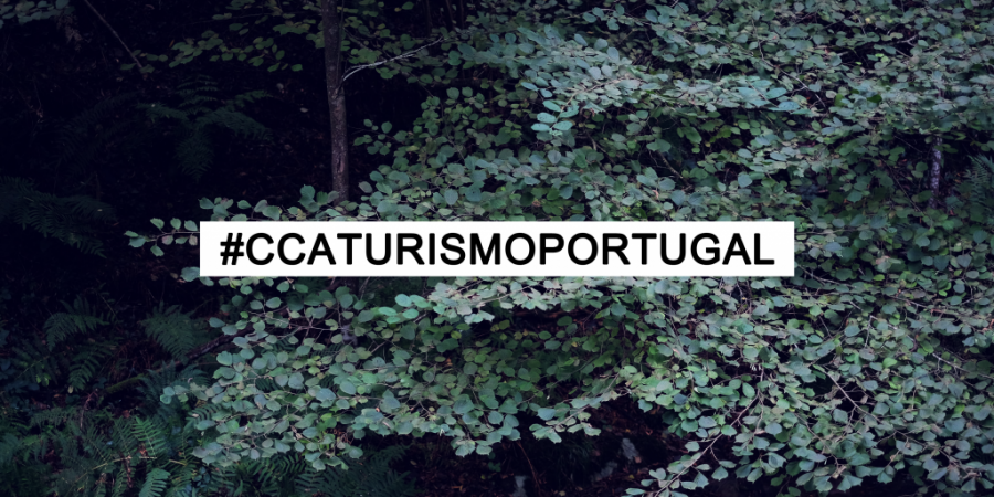 Queremos divulgar os teus melhores destinos para fazer turismo em Portugal