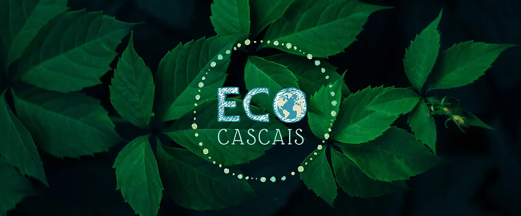 Eco Cascais, o novo evento de sustentabilidade em Portugal