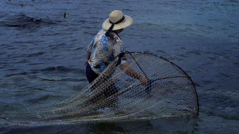 RTP2 exibe documentário “A Mãe e o Mar”, um filme sobre as mulheres pescadoras da praia de Vila Chã