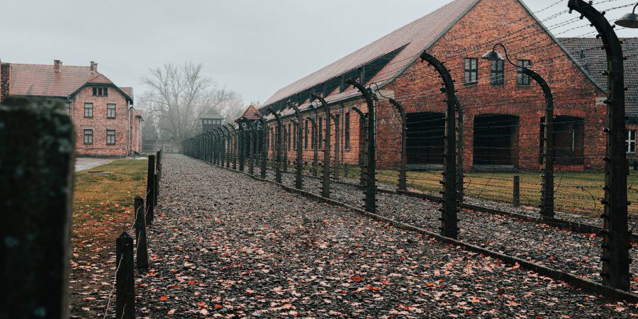 Ana Galán vence prémio Europa Nostra com exposição sobre Auschwitz. Investigadora dedica-se à conservação do património trágico