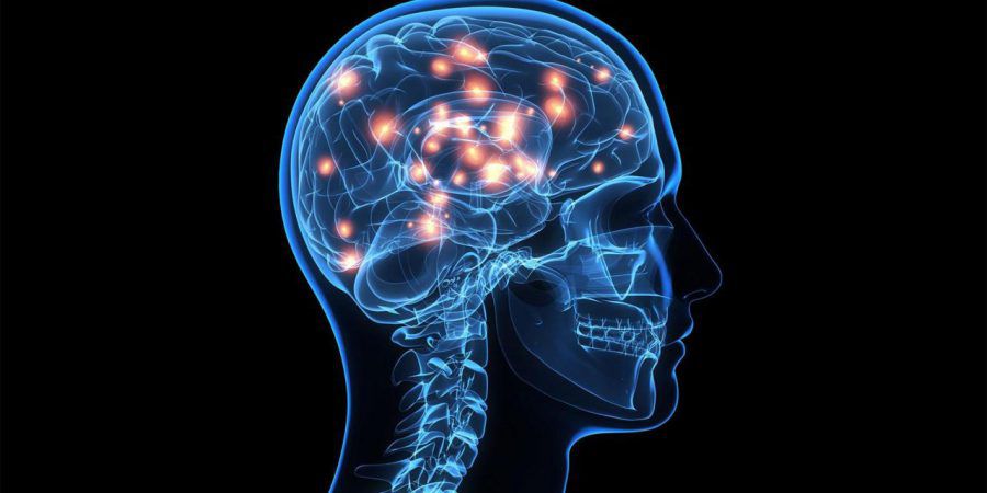Cientistas portugueses recebem 3,8 milhões de euros para estudarem doenças neuro-psiquiátricas