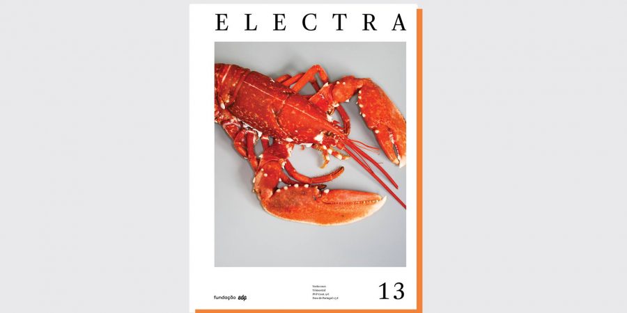 Na revista Electra 13: a comida, Adam Phillips, Clarice Lispector e Madame Grès