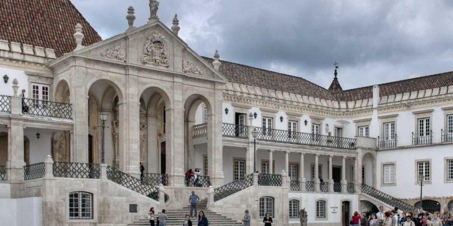 Equipa da Universidade de Coimbra ganha quase meio milhão de euros para estudar efeitos do stress crónico no cérebro