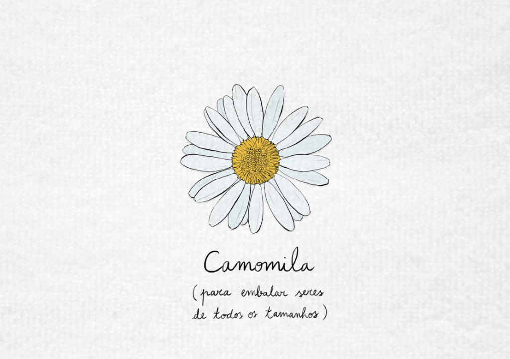 Luísa Sobral edita mini-álbum, “Camomila” de canções de embalar