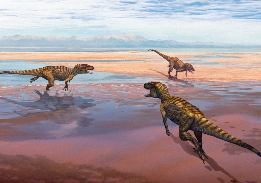 Estudo revela dados sobre pegadas de dinossauros carnívoros do Jurássico no Cabo Mondego