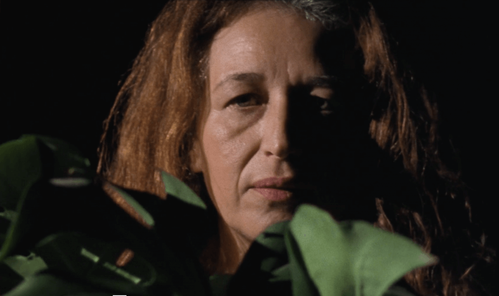“Madrugada”. Novo filme de Leonor Noivo estreia no Festival Internacional de Cinema de Roterdão
