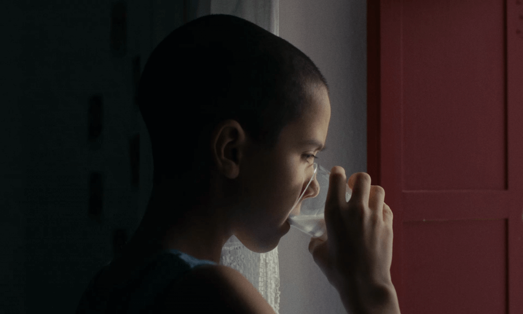 Academia Portuguesa de Cinema exibe as melhores curtas-metragens do ano. As sessões são gratuitas