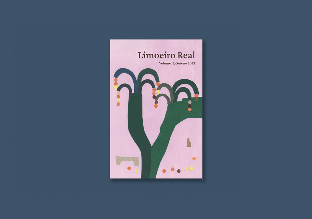 Segundo número da revista Limoeiro Real é focado na literatura e ilustração