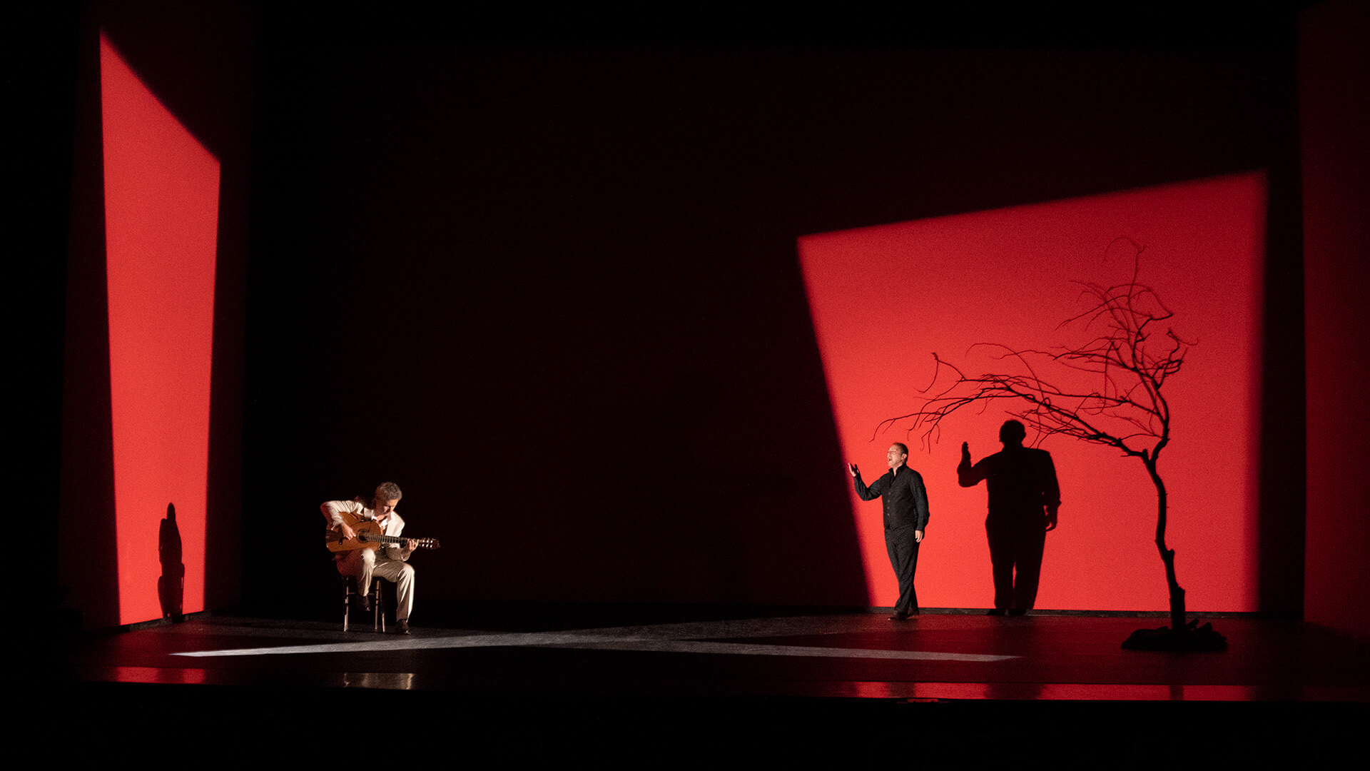 Teatro Aveirense apresenta “Amore”, novo espetáculo do italiano Pippo Delbono