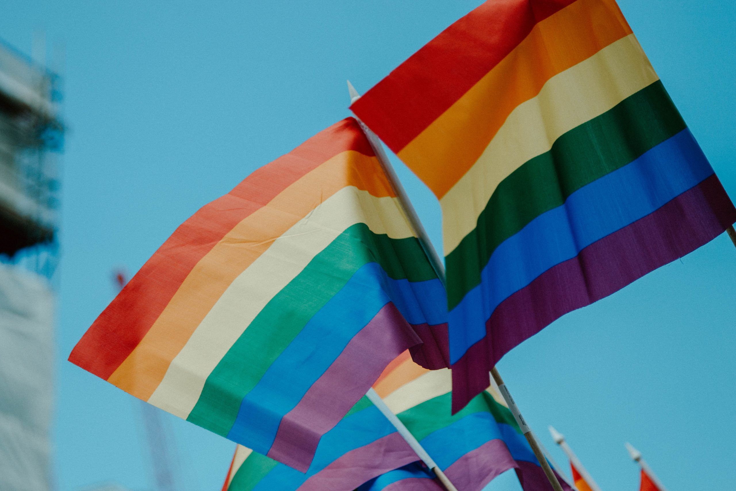 Aprovados projetos-lei de PS, PAN, Livre, BE sobre direitos das pessoas transgénero e homossexuais