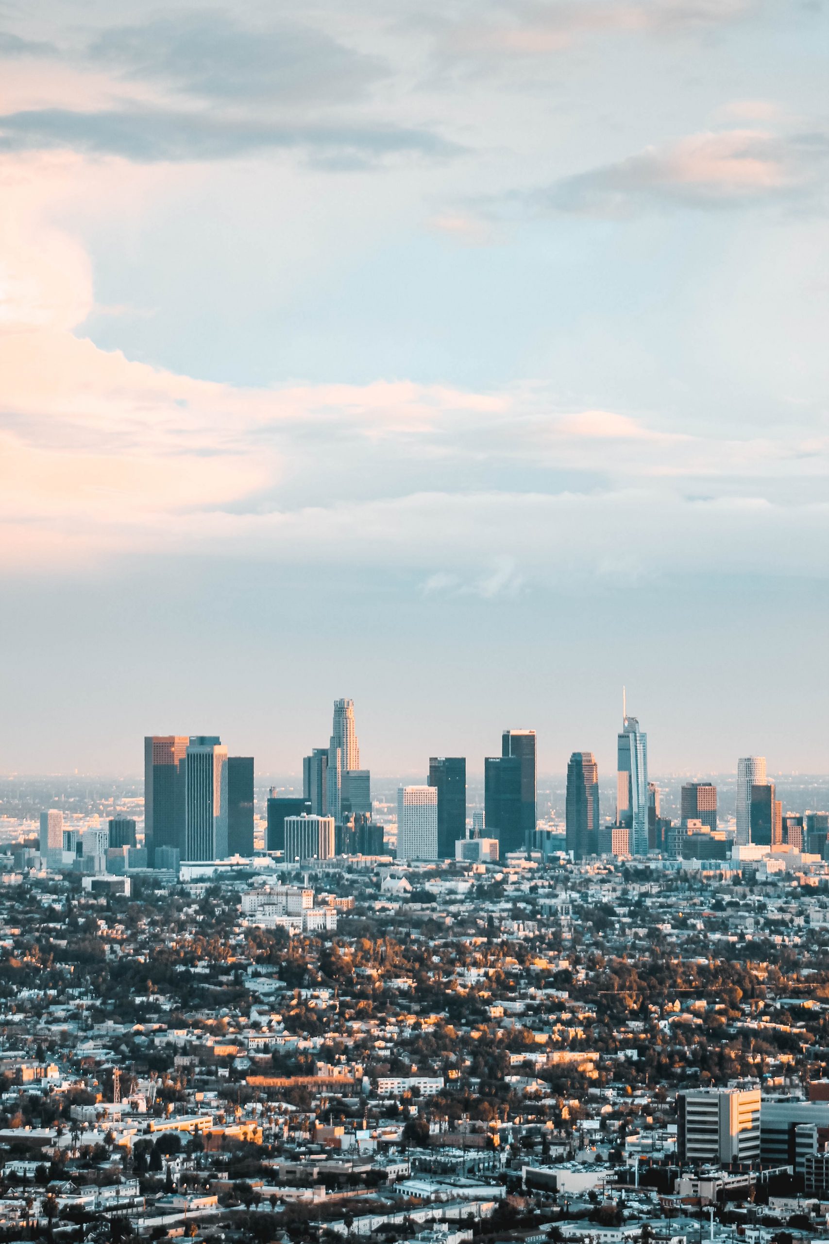 Los Angeles montou sistema “modelo” para gerir crise de migrantes na Califórnia