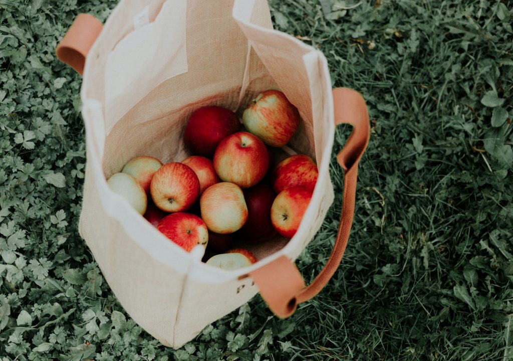 Exportações portuguesas de frutas, legumes e flores batem novo recorde em 2023