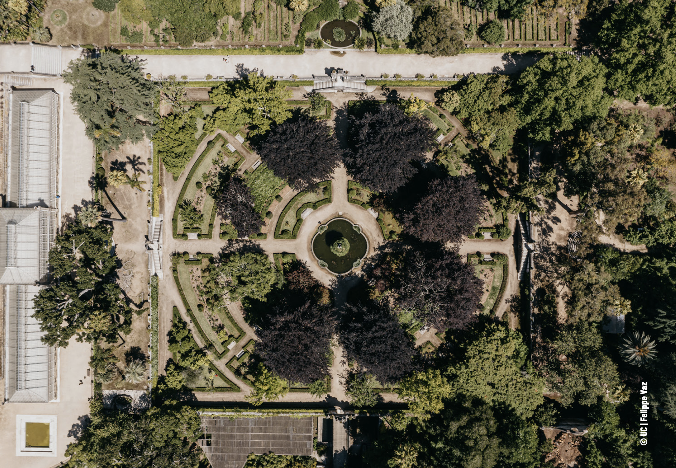 Sons da Cidade em Coimbra convida a revisitar espaços e obras culturais