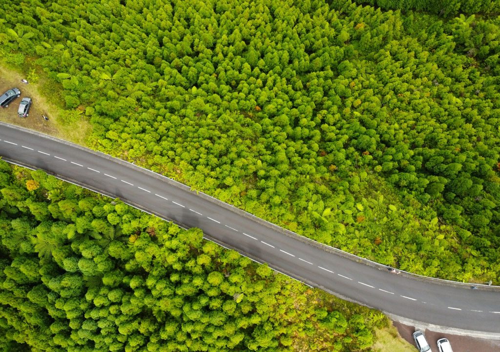 Lei do Restauro da Natureza entra em vigor no sábado