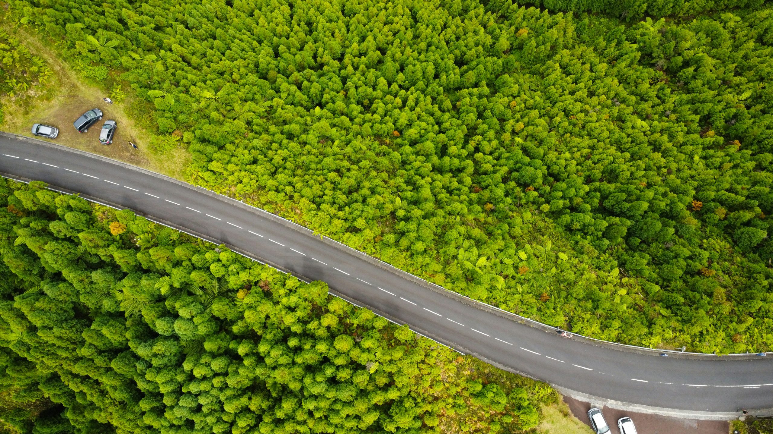 Lei do Restauro da Natureza entra em vigor no sábado