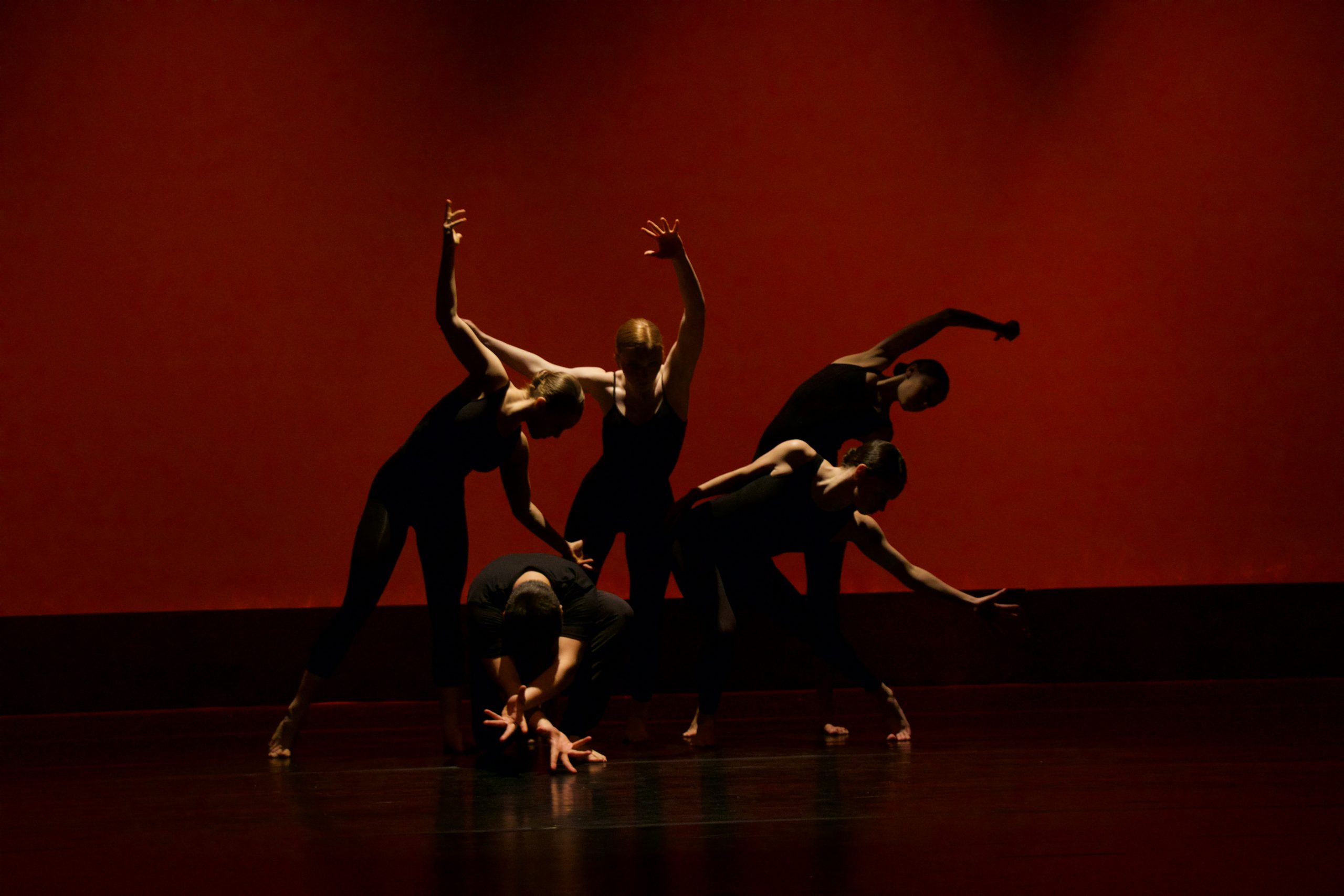 Vinte artistas representam Portugal na bienal de dança Tanzmesse na Alemanha