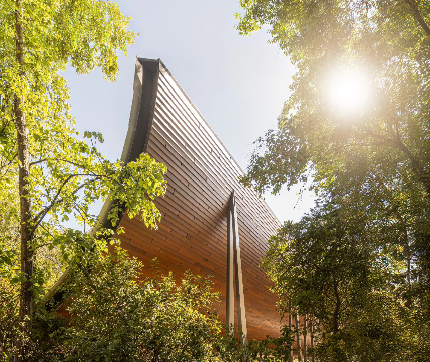 Centro de Arte Moderna da Gulbenkian reabre este mês com festa de dois dias de entrada livre