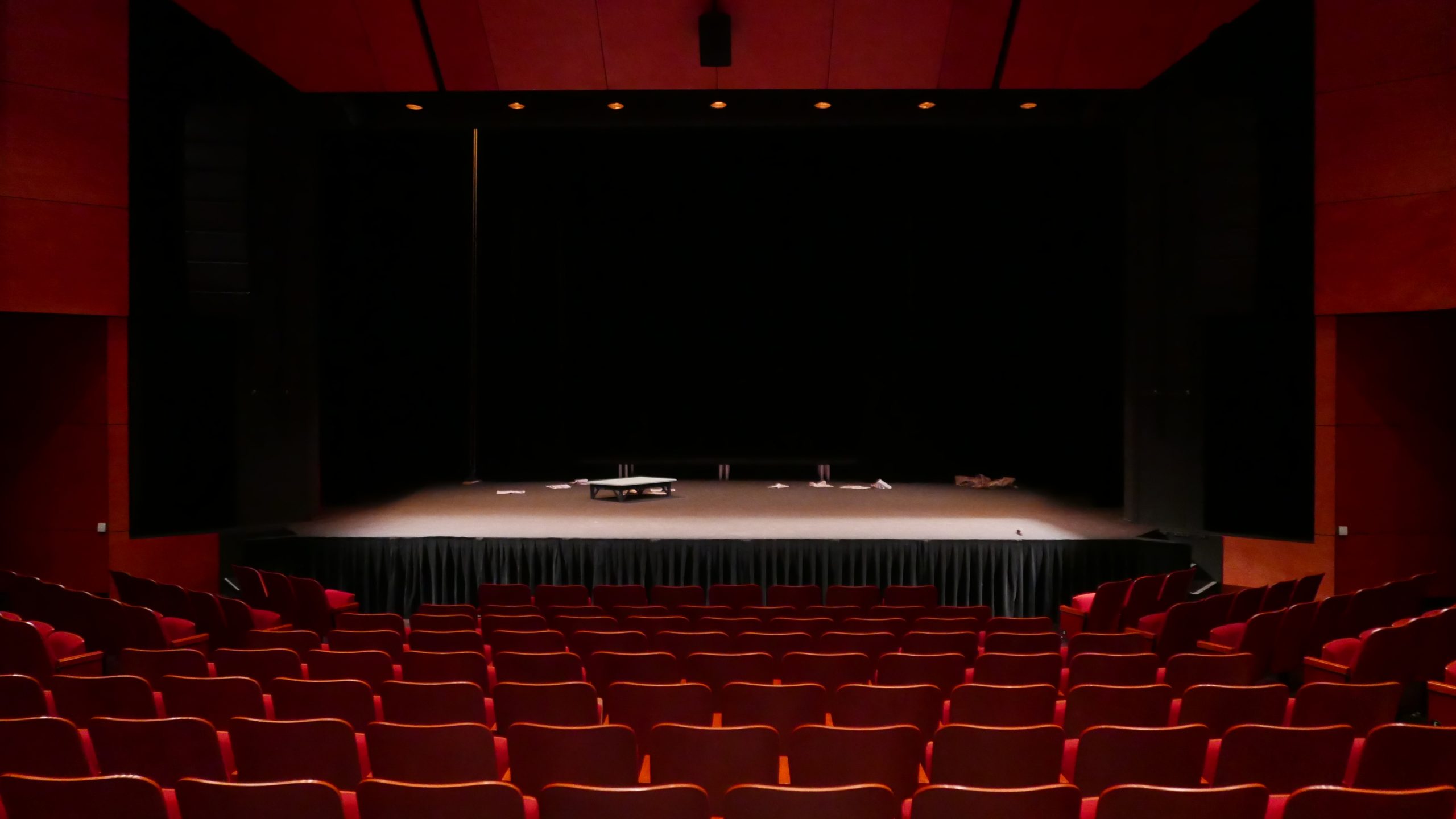 Companhia de teatro de Coimbra, O Teatrão, procura voluntários para “Leituras ao Domicílio”