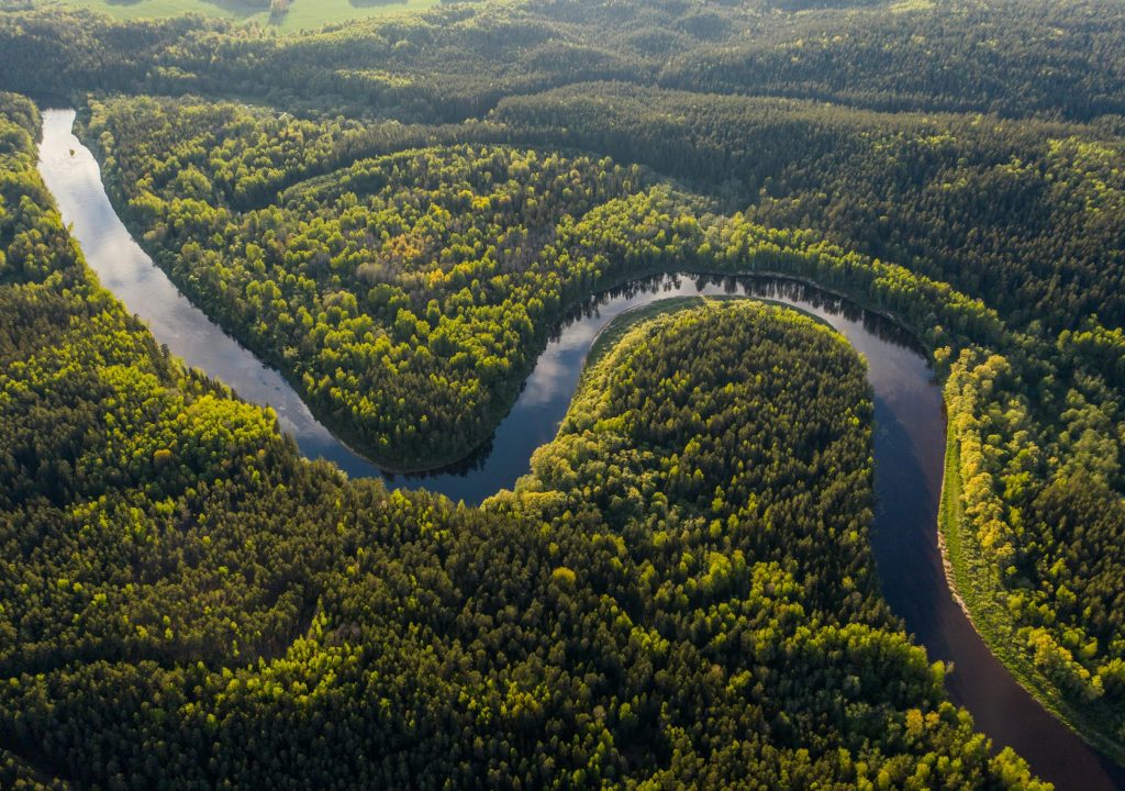 Comunidade indígena da Amazónia vence batalha judicial pelo território perdido